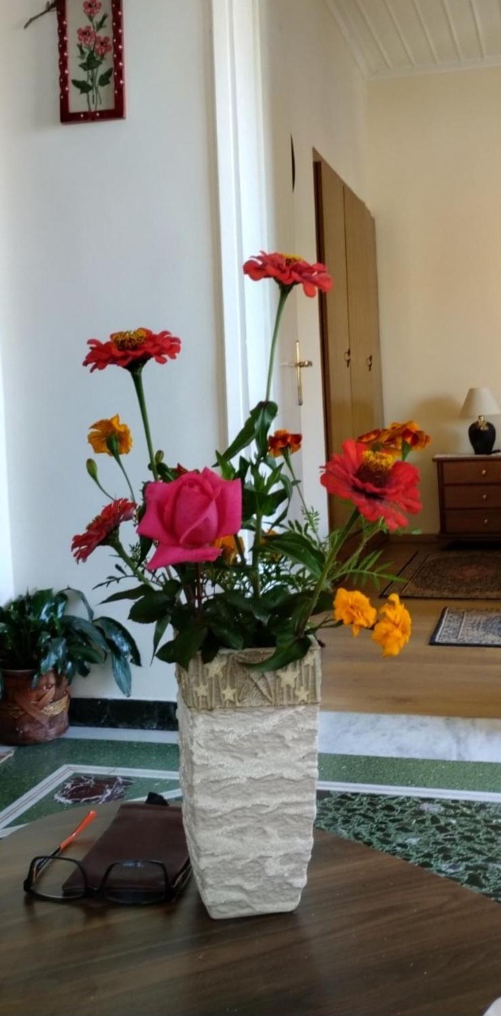 Tanias Apartment Siatista Екстер'єр фото